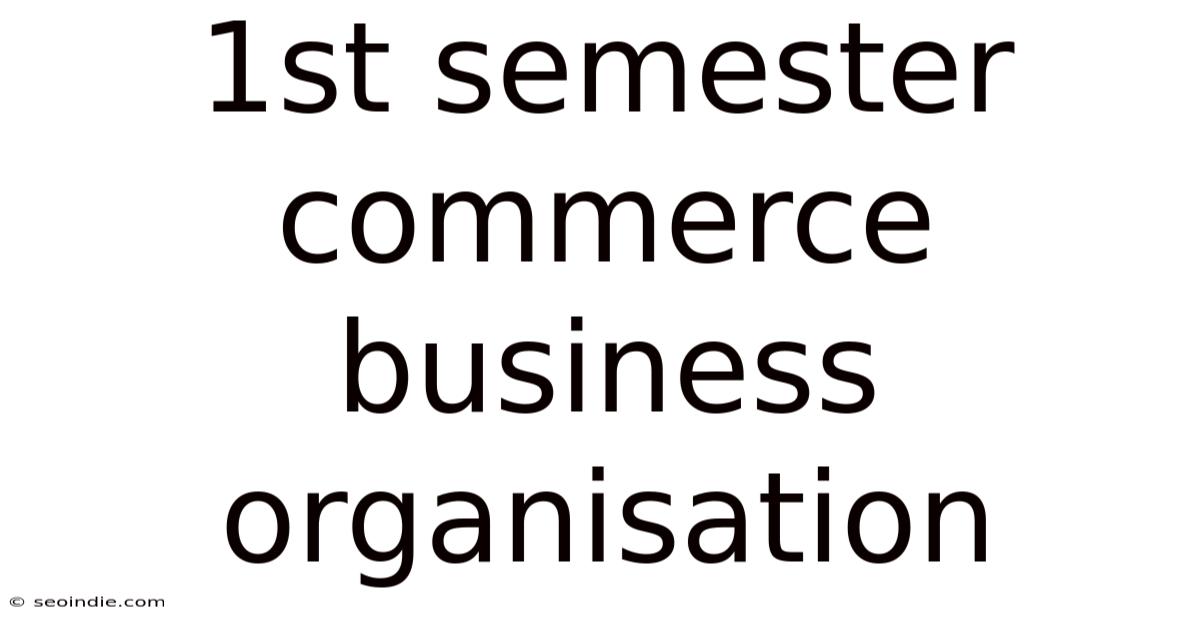1st Semester Commerce Business Organisation