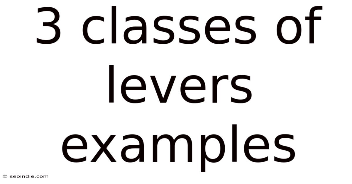 3 Classes Of Levers Examples