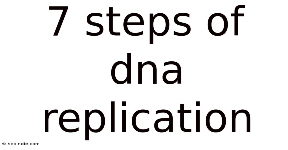 7 Steps Of Dna Replication