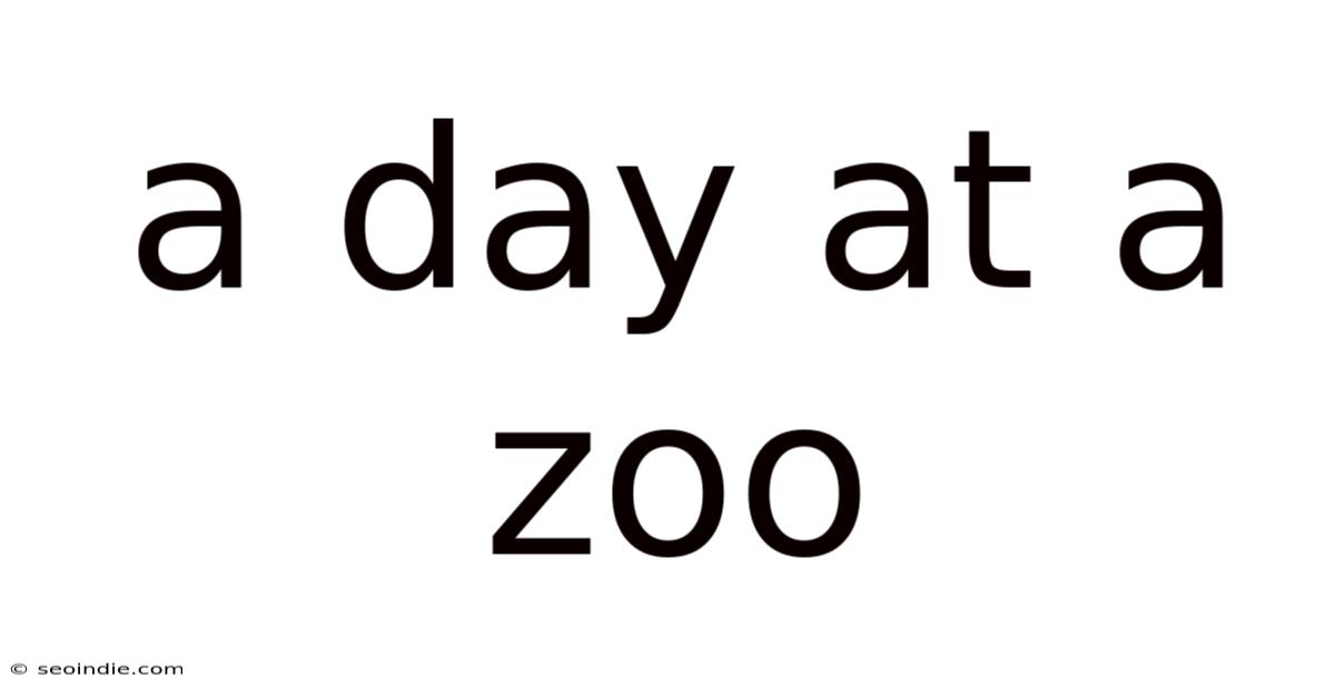 A Day At A Zoo