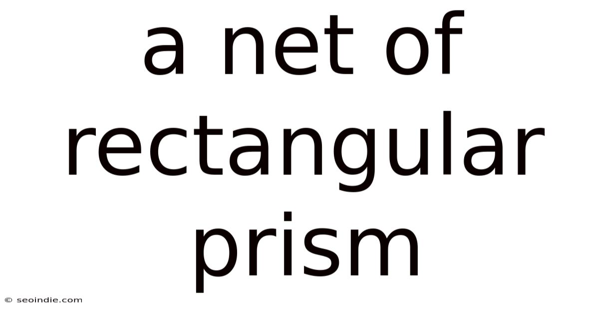 A Net Of Rectangular Prism