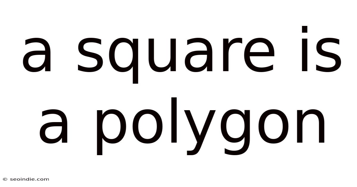 A Square Is A Polygon