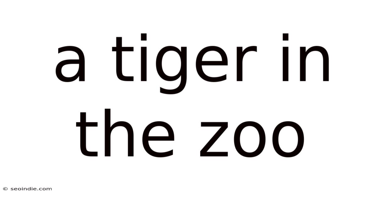 A Tiger In The Zoo