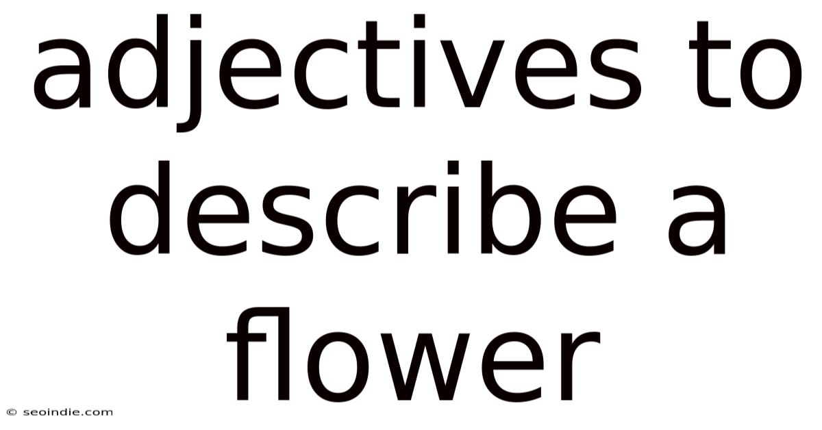 Adjectives To Describe A Flower