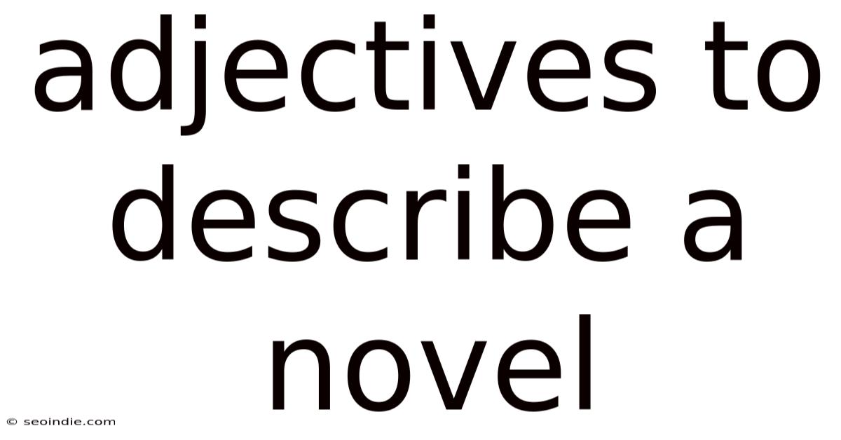 Adjectives To Describe A Novel