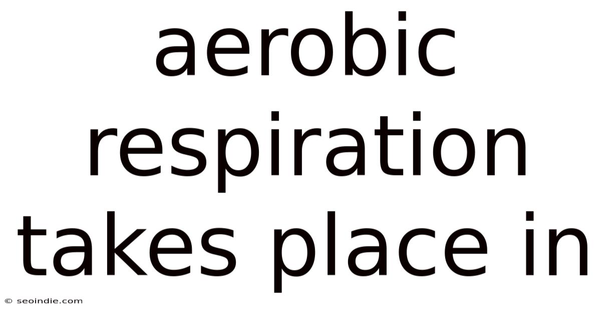 Aerobic Respiration Takes Place In