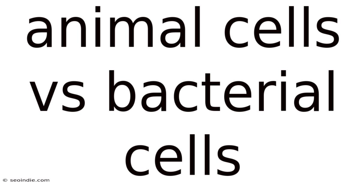 Animal Cells Vs Bacterial Cells