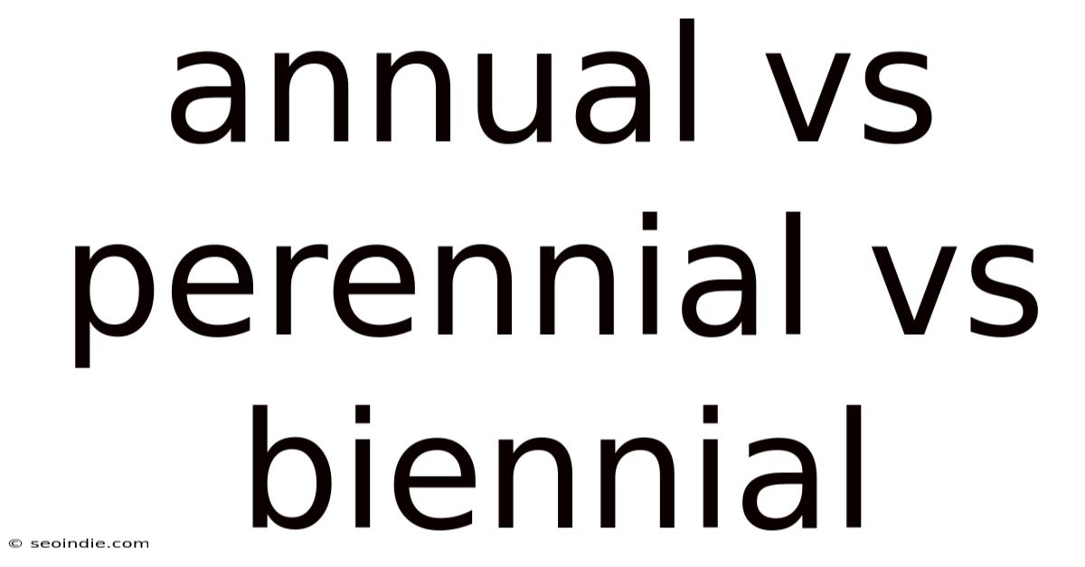 Annual Vs Perennial Vs Biennial