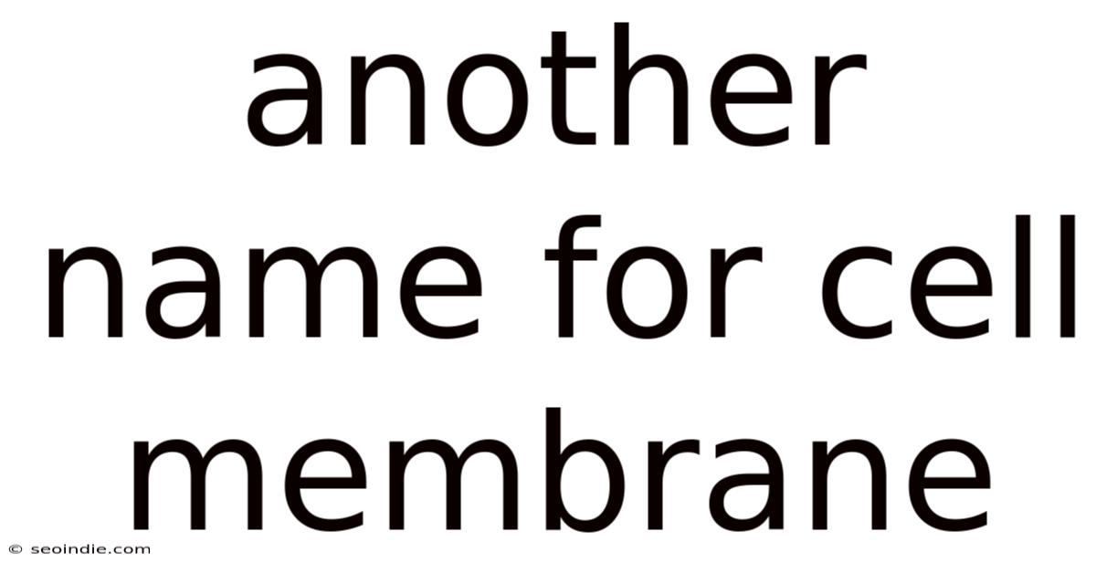 Another Name For Cell Membrane