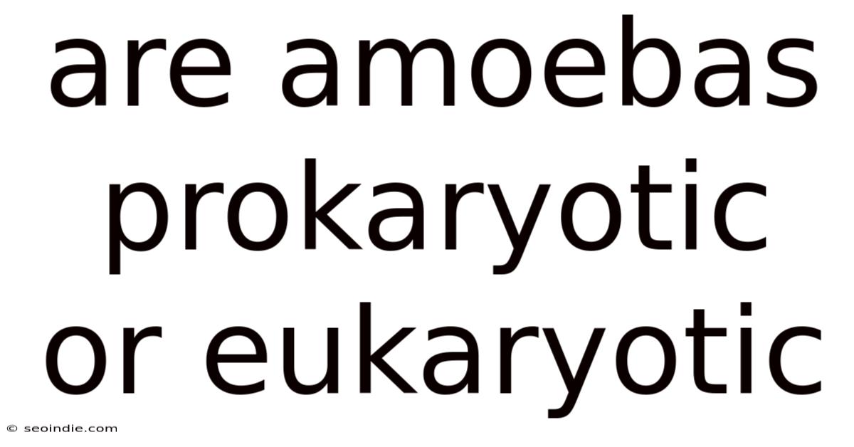 Are Amoebas Prokaryotic Or Eukaryotic