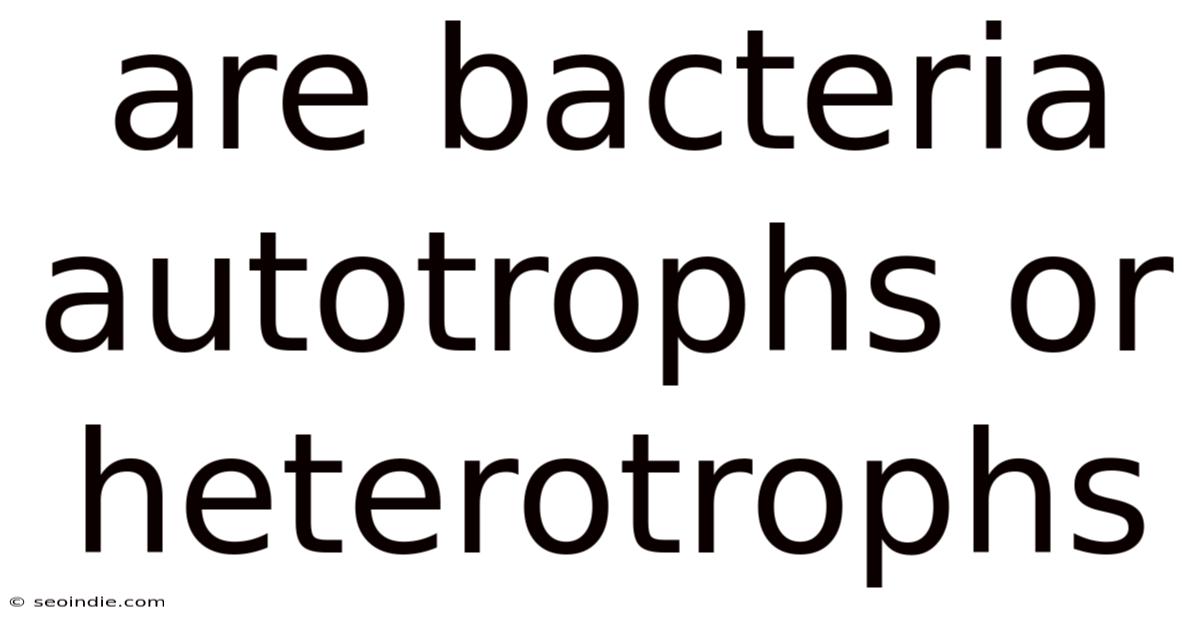 Are Bacteria Autotrophs Or Heterotrophs