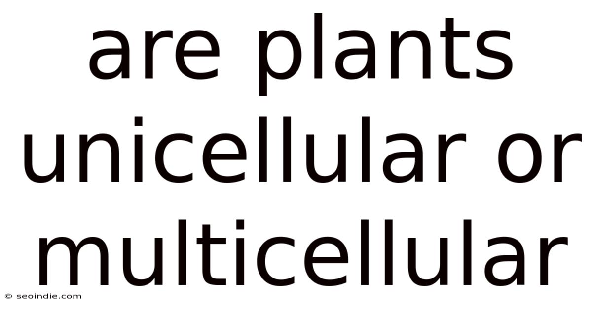 Are Plants Unicellular Or Multicellular