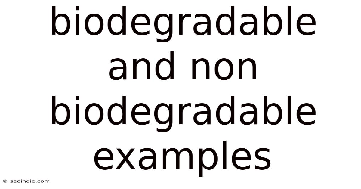 Biodegradable And Non Biodegradable Examples