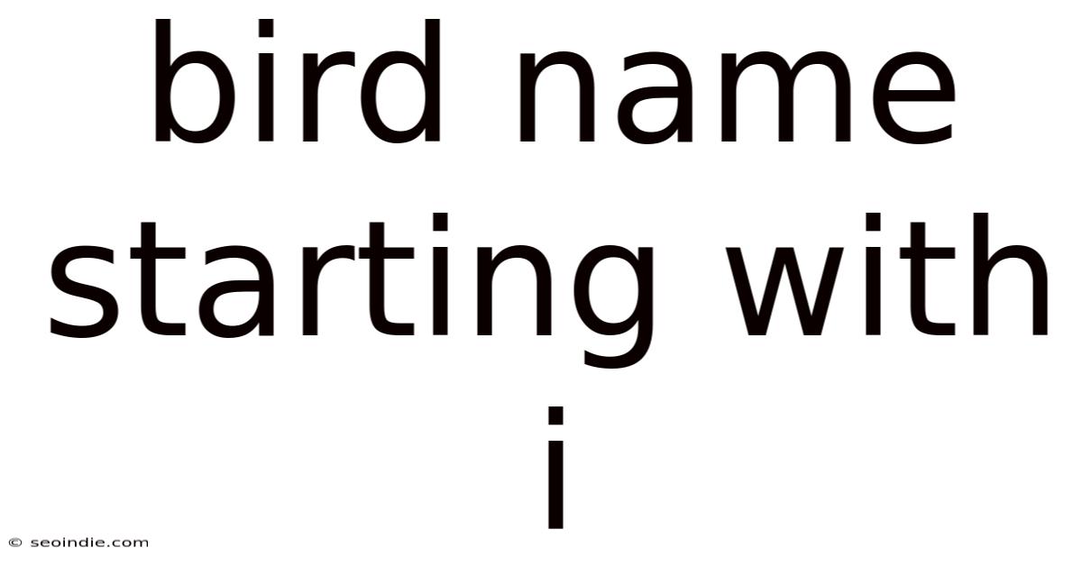 Bird Name Starting With I