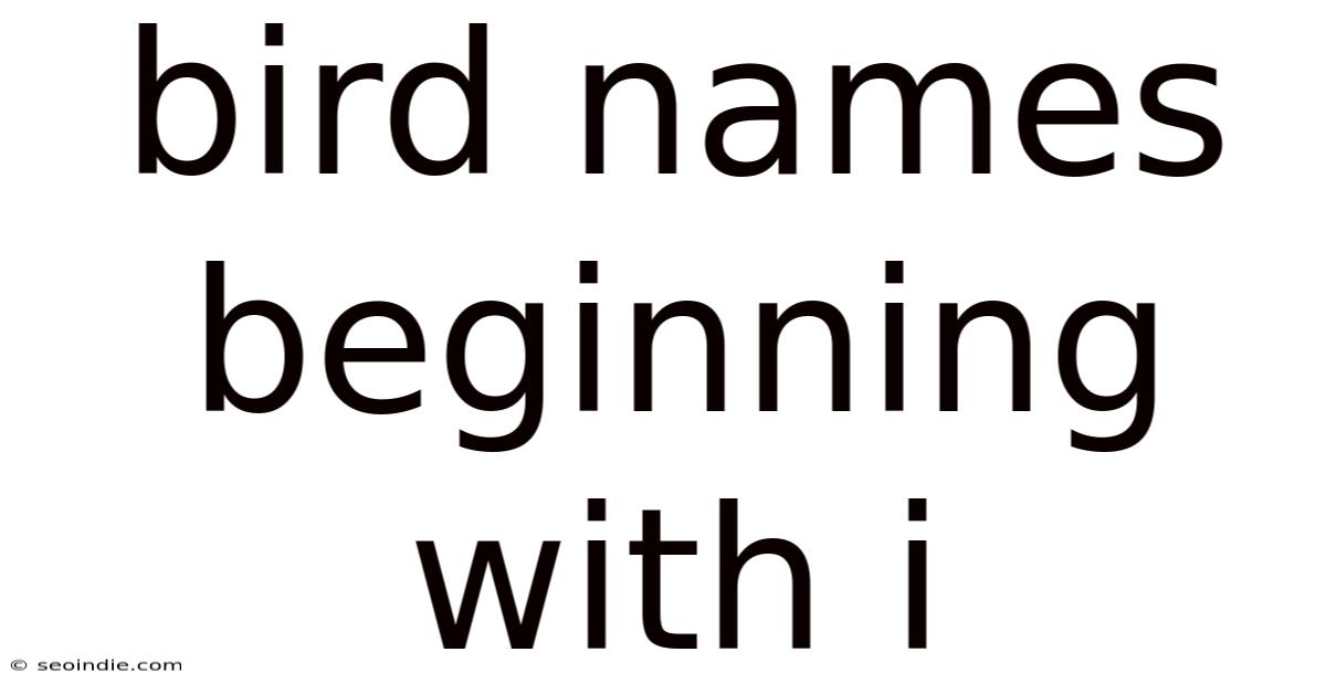 Bird Names Beginning With I