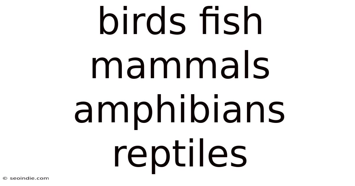 Birds Fish Mammals Amphibians Reptiles
