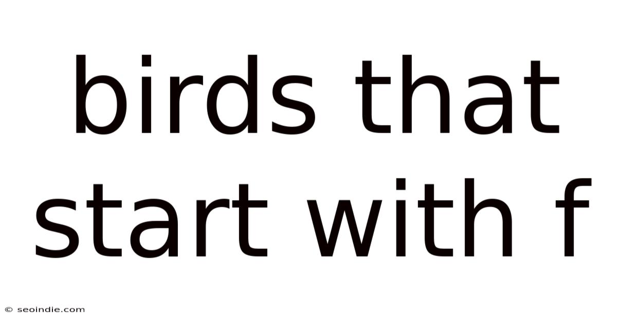 Birds That Start With F