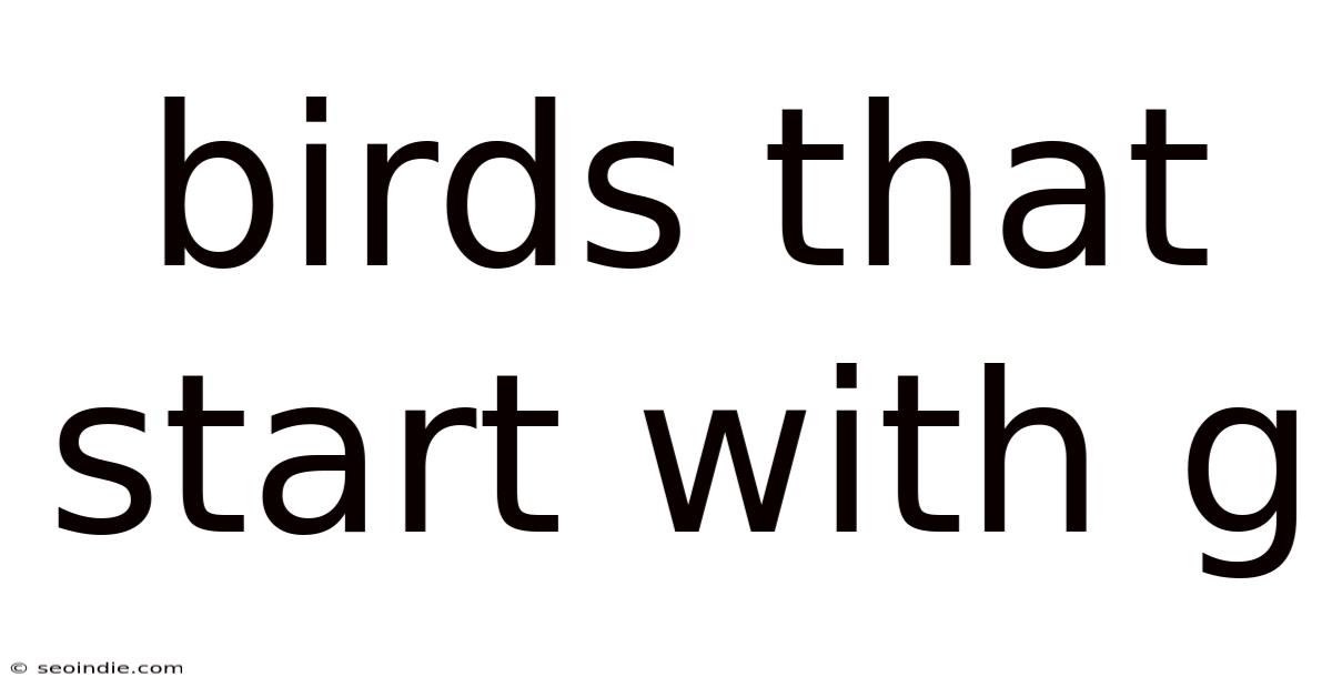 Birds That Start With G