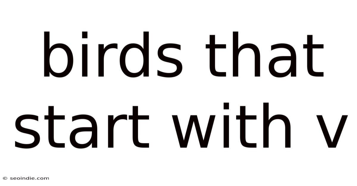 Birds That Start With V