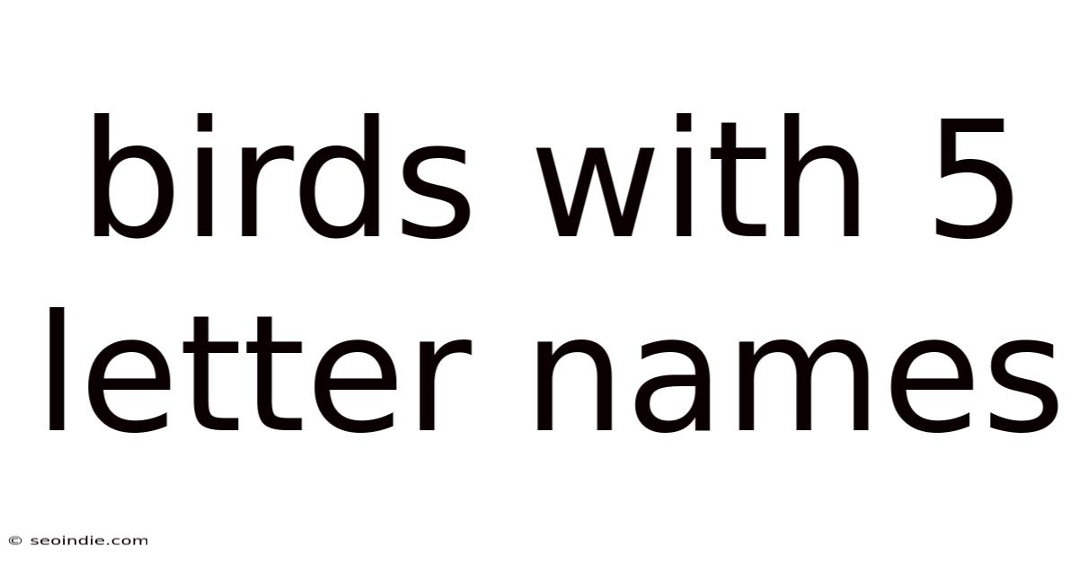 Birds With 5 Letter Names