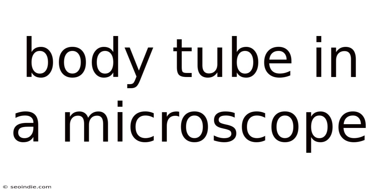 Body Tube In A Microscope