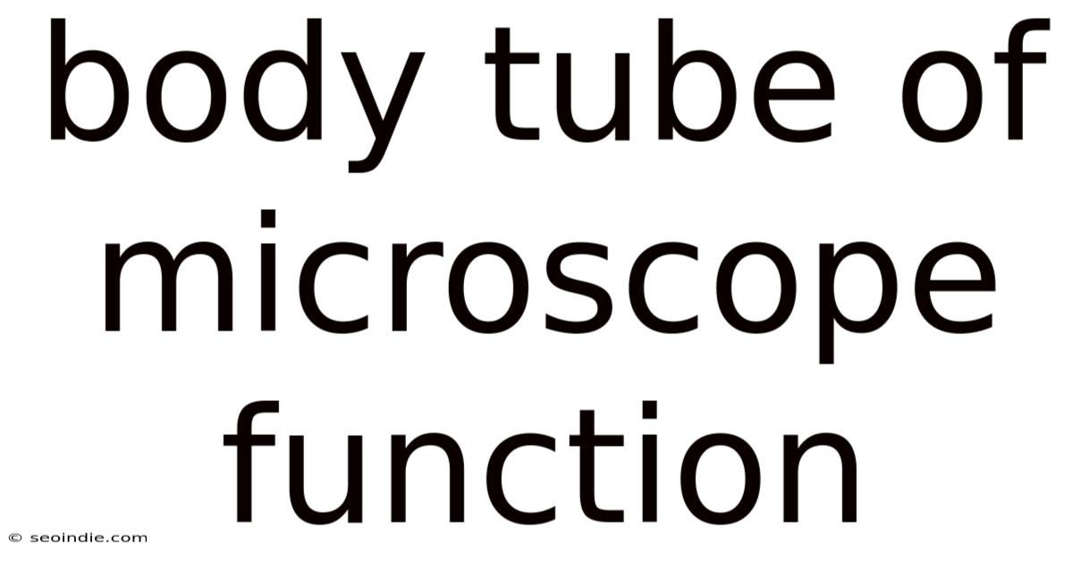 Body Tube Of Microscope Function