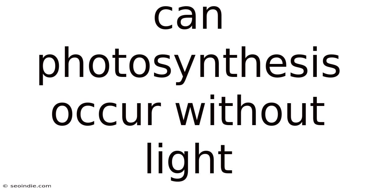 Can Photosynthesis Occur Without Light
