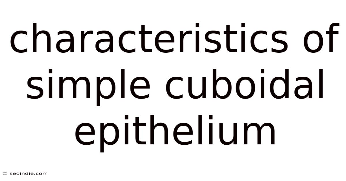 Characteristics Of Simple Cuboidal Epithelium