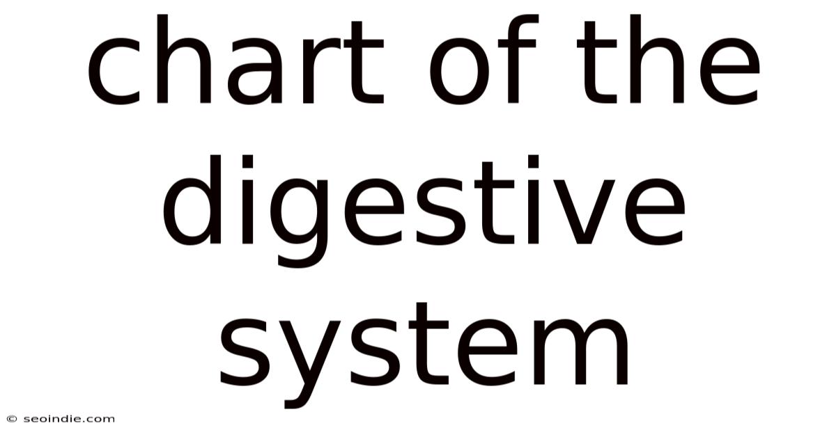 Chart Of The Digestive System