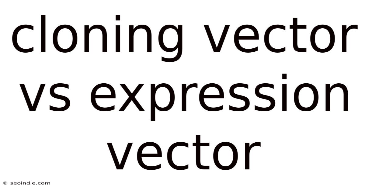 Cloning Vector Vs Expression Vector