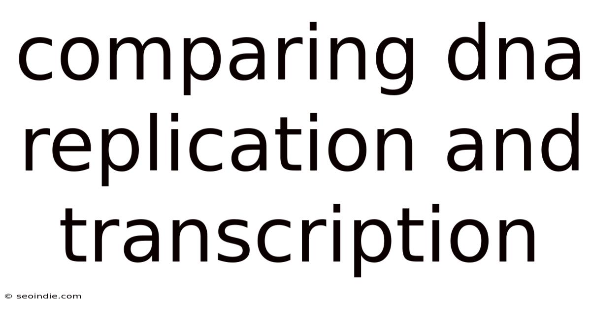 Comparing Dna Replication And Transcription