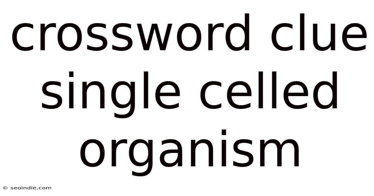Crossword Clue Single Celled Organism