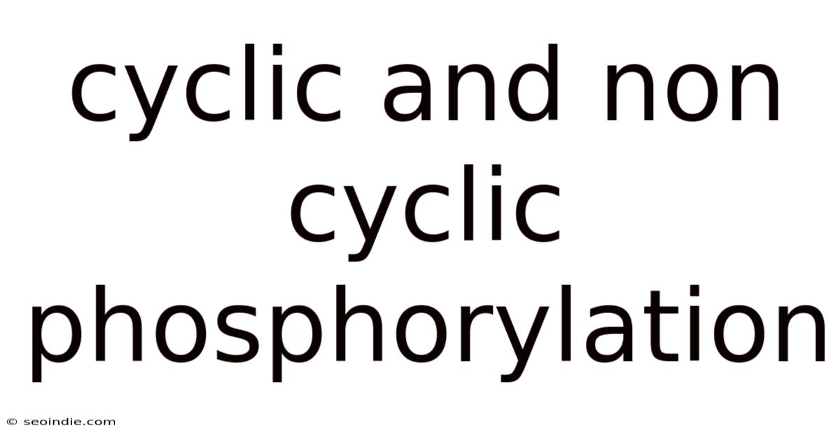 Cyclic And Non Cyclic Phosphorylation