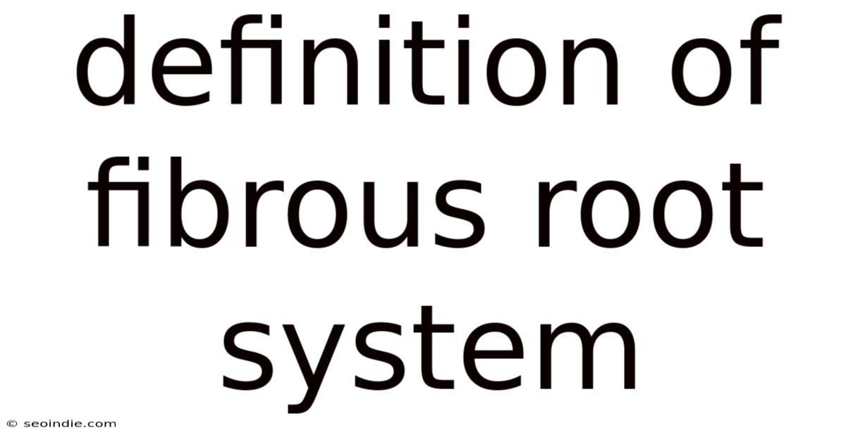 Definition Of Fibrous Root System