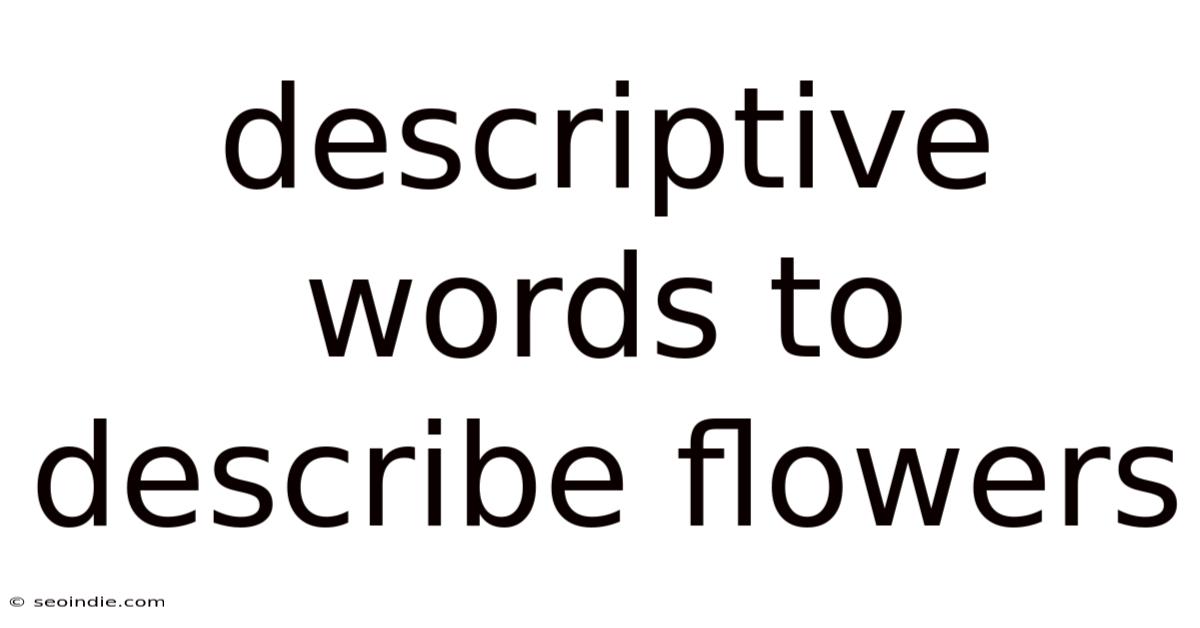Descriptive Words To Describe Flowers