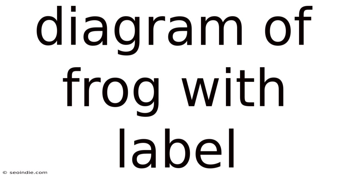 Diagram Of Frog With Label
