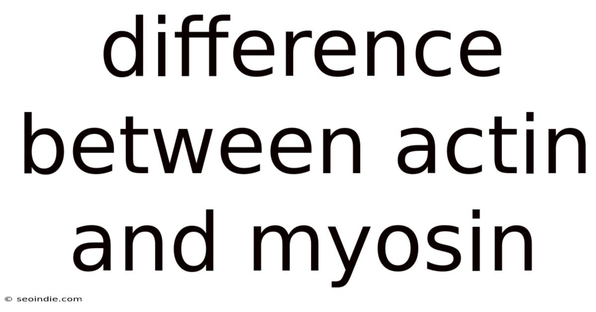 Difference Between Actin And Myosin