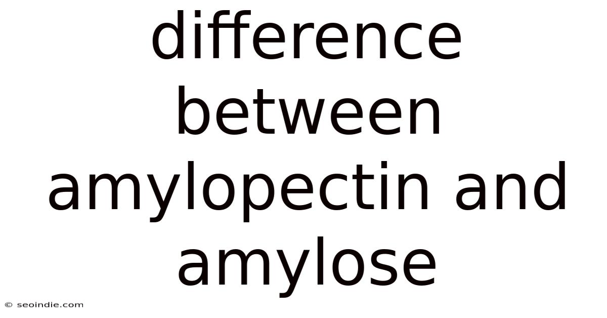 Difference Between Amylopectin And Amylose