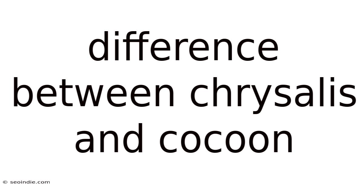 Difference Between Chrysalis And Cocoon