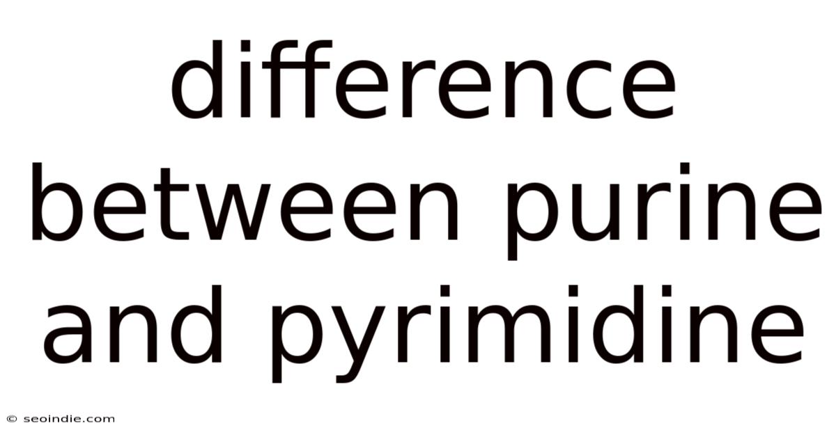 Difference Between Purine And Pyrimidine