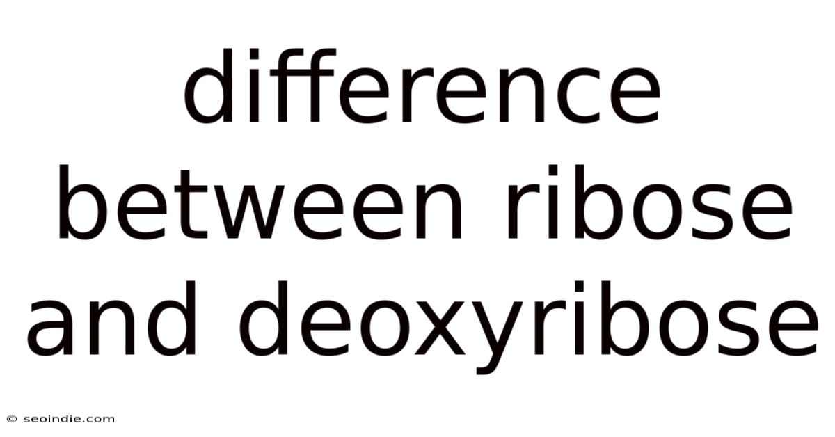 Difference Between Ribose And Deoxyribose