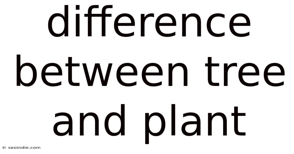 Difference Between Tree And Plant