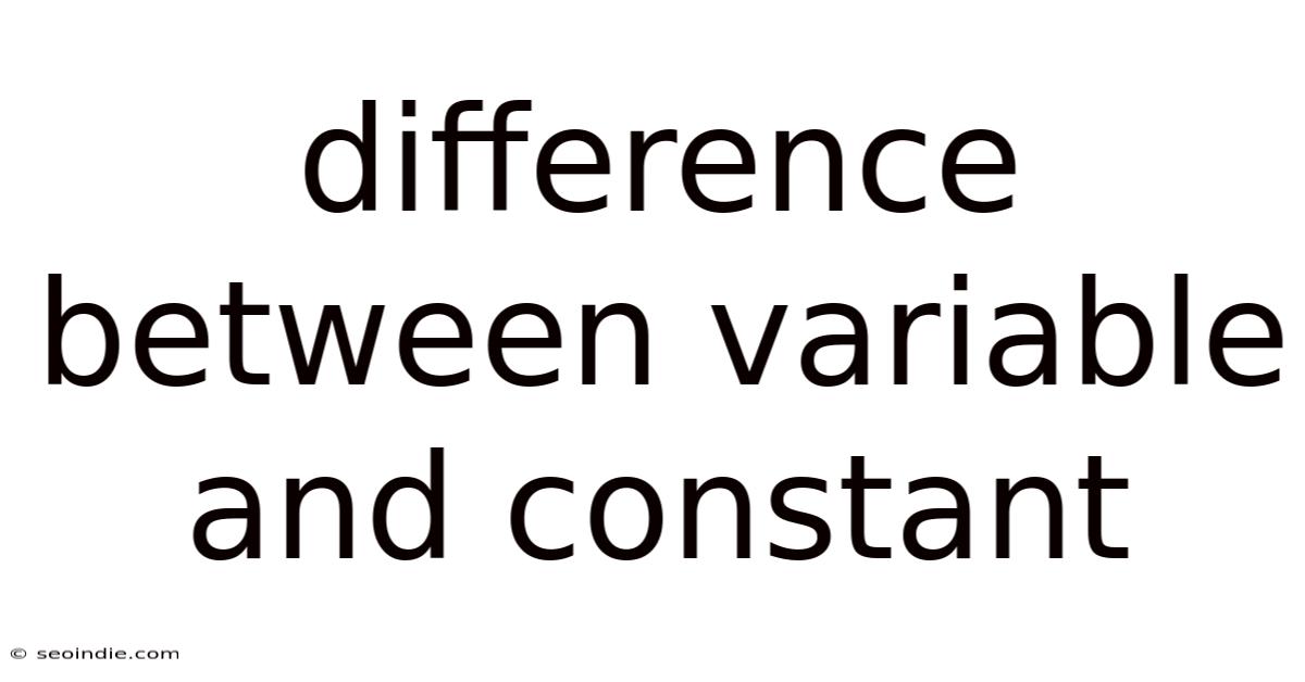 Difference Between Variable And Constant
