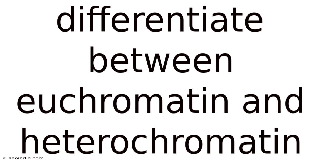 Differentiate Between Euchromatin And Heterochromatin