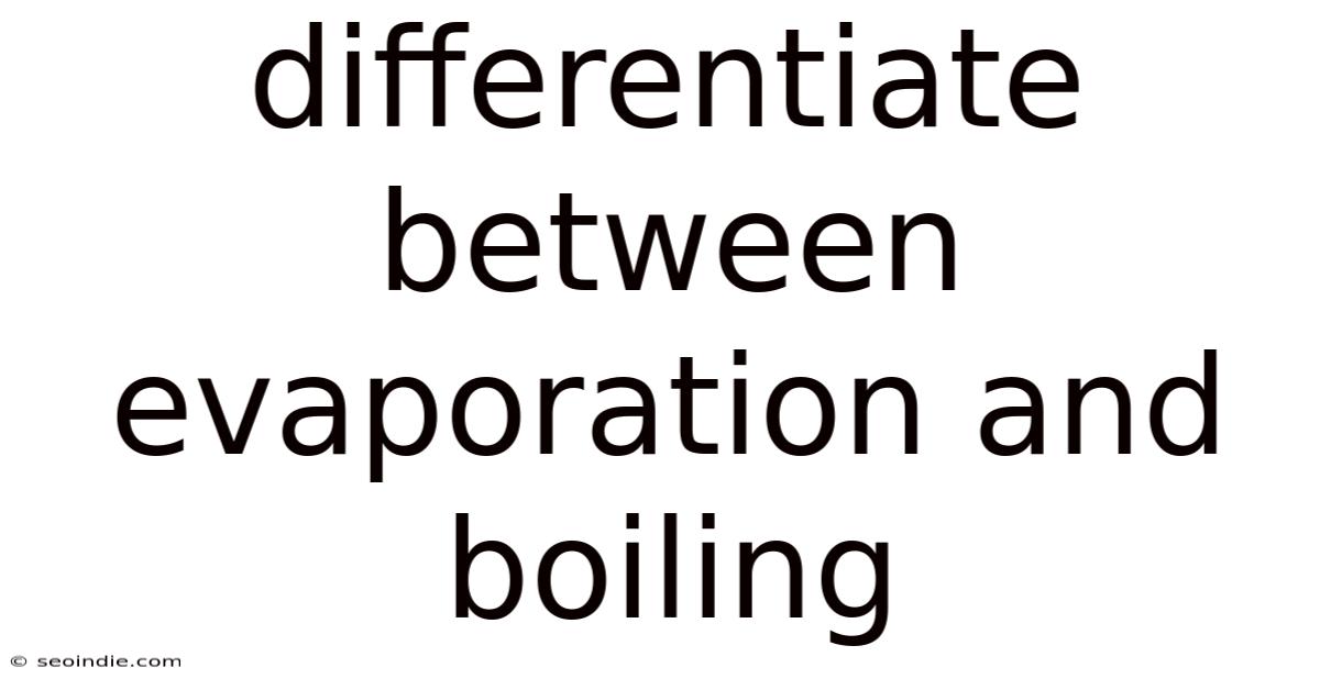 Differentiate Between Evaporation And Boiling