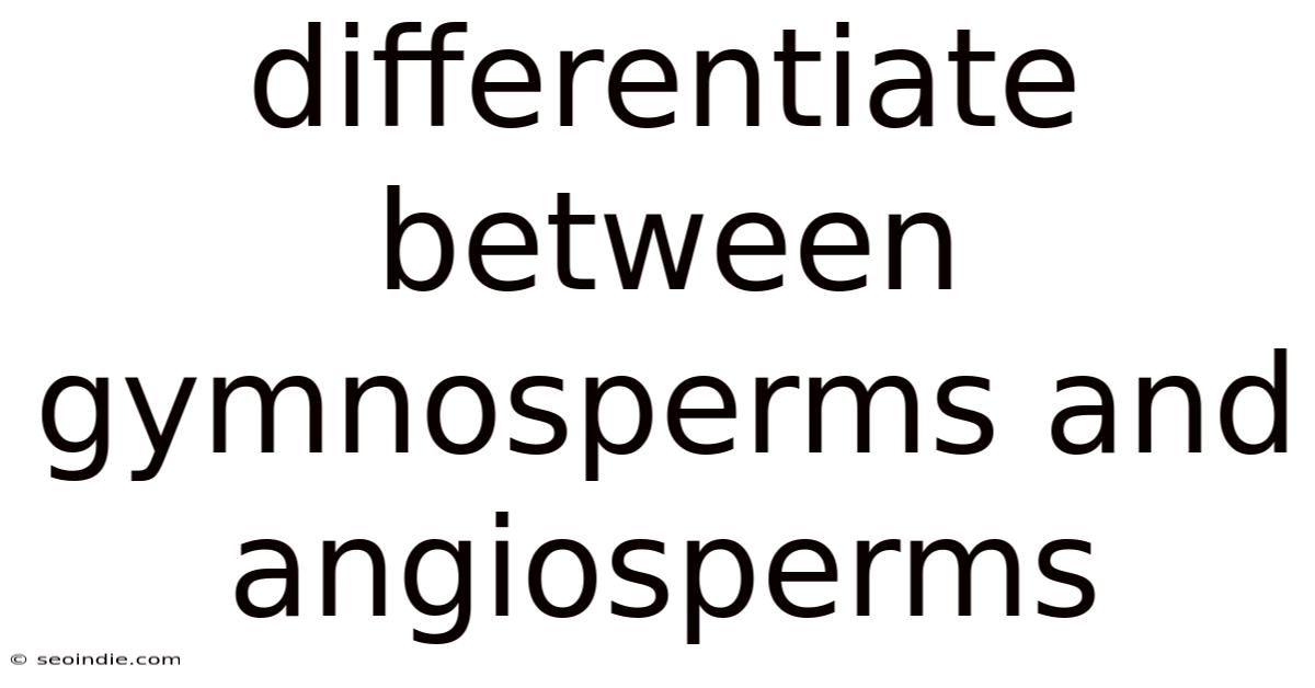 Differentiate Between Gymnosperms And Angiosperms