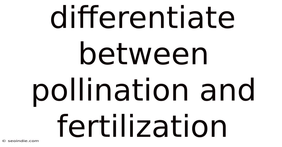 Differentiate Between Pollination And Fertilization