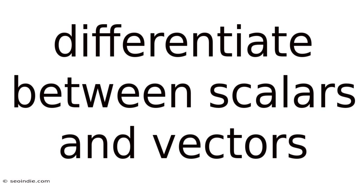 Differentiate Between Scalars And Vectors