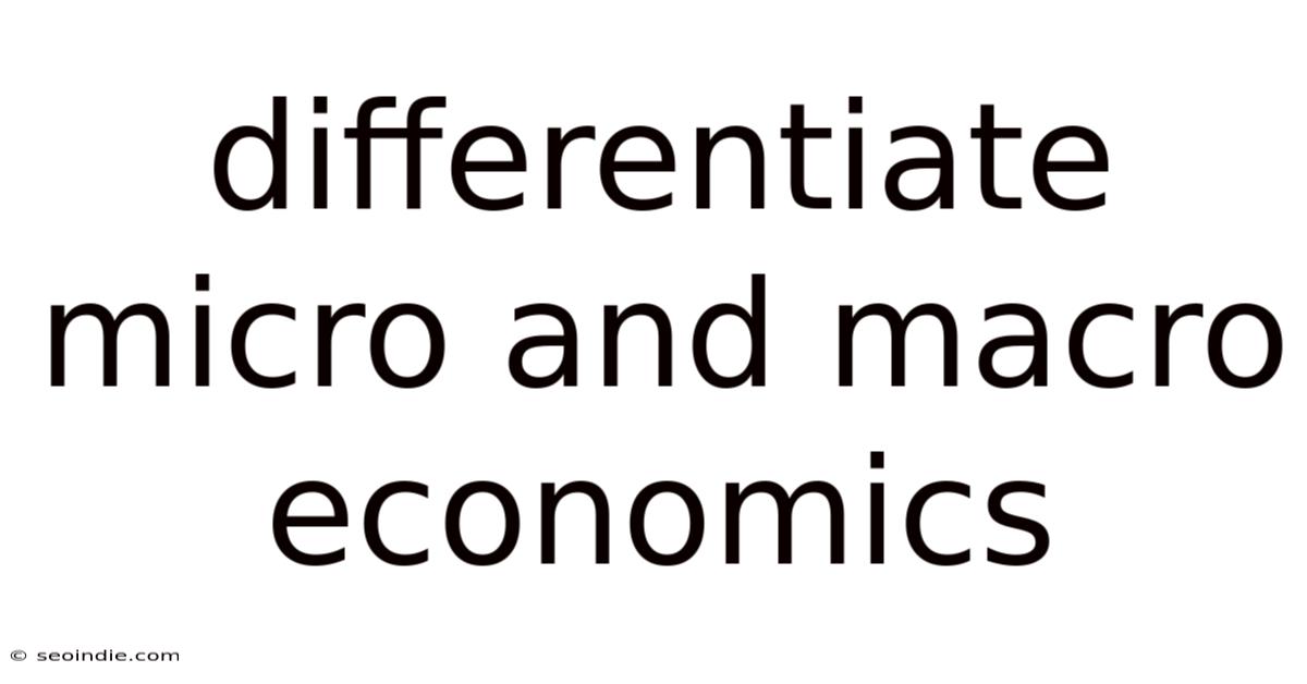 Differentiate Micro And Macro Economics