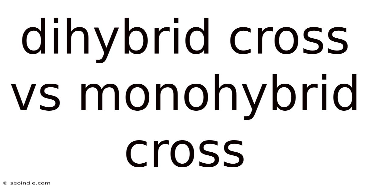 Dihybrid Cross Vs Monohybrid Cross